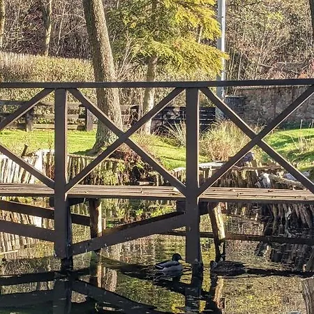 Lejlighed Agroturystyka Spa *