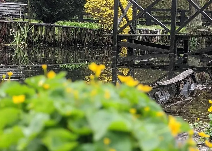 公寓 Agroturystyka Spa *